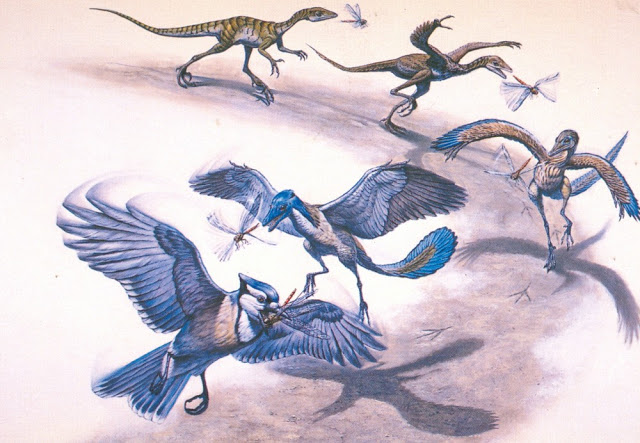 Ewolucja ptaków